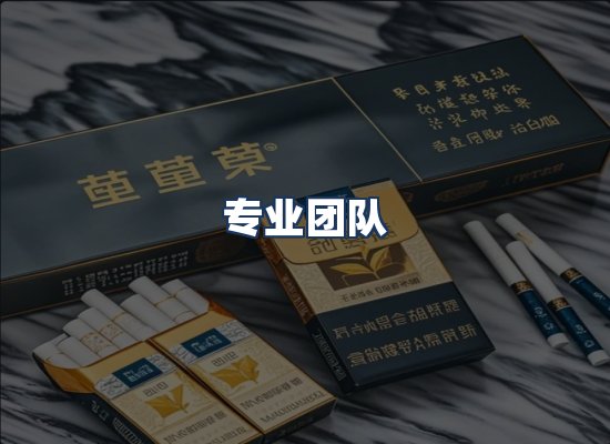 专业团队
